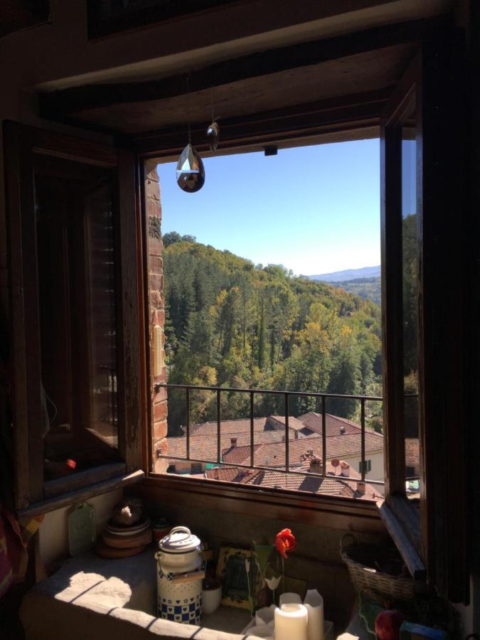 Appartement Castello Di Urbech à Pratovecchio Extérieur photo