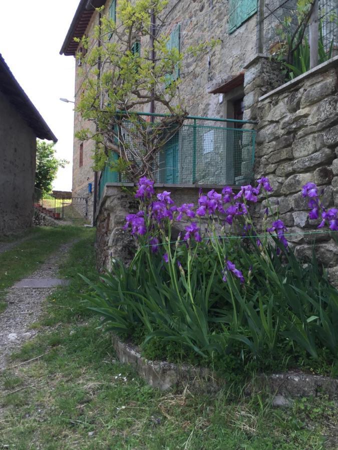 Appartement Castello Di Urbech à Pratovecchio Extérieur photo
